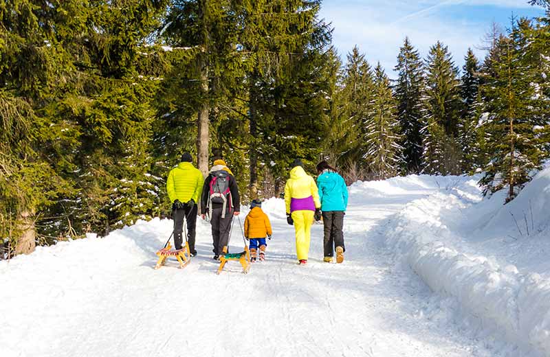 Rodelbahn Moaregg Hütte