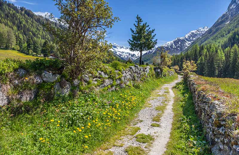 Ferienregion Tauferer Ahrntal