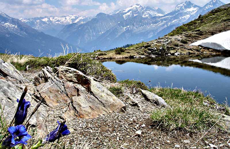Naturparkhaus Rieserferner-Ahrn